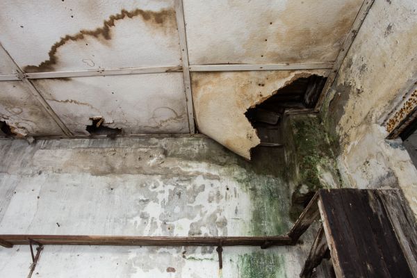 Water Damage Service in Willoughby