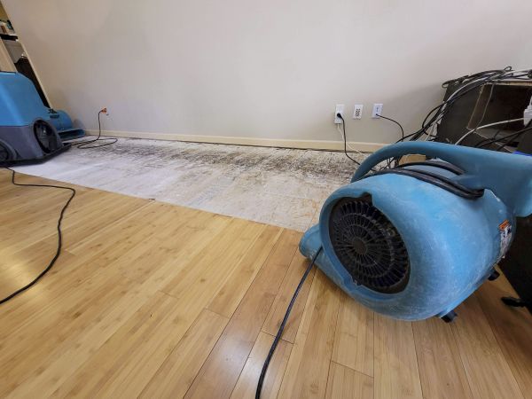 Water Damage Mitigation in Willoughby