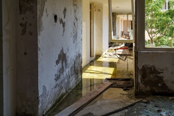 Cost of Water Removal Service in Willoughby