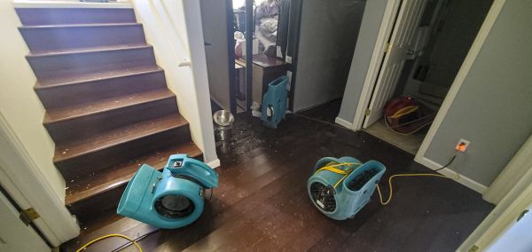 Water Damage Remediation in Willoughby