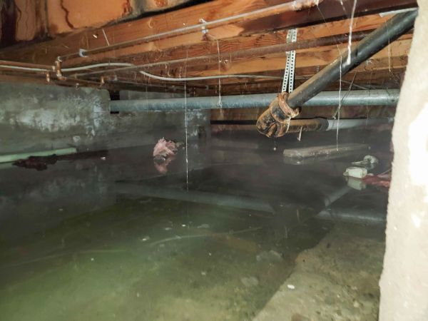 Water Mitigation Service in Willoughby