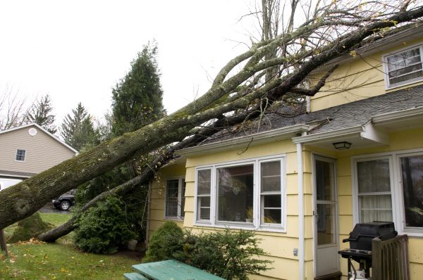 Hurricane Damage Repair in Willoughby